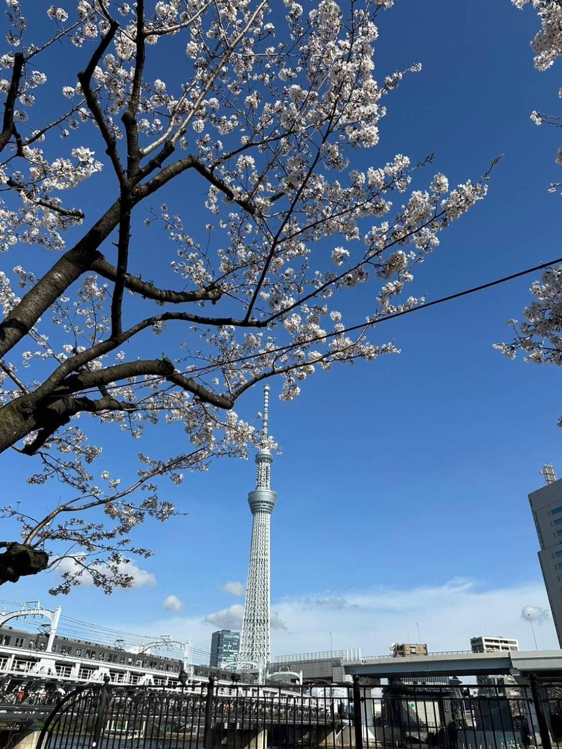 東京雷門ー千の森asakusa Tokyo Eksteriør bilde